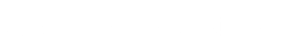 The Grill Cleaners